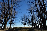 56 Piante secolari al Parco del Castello di San Vigilio